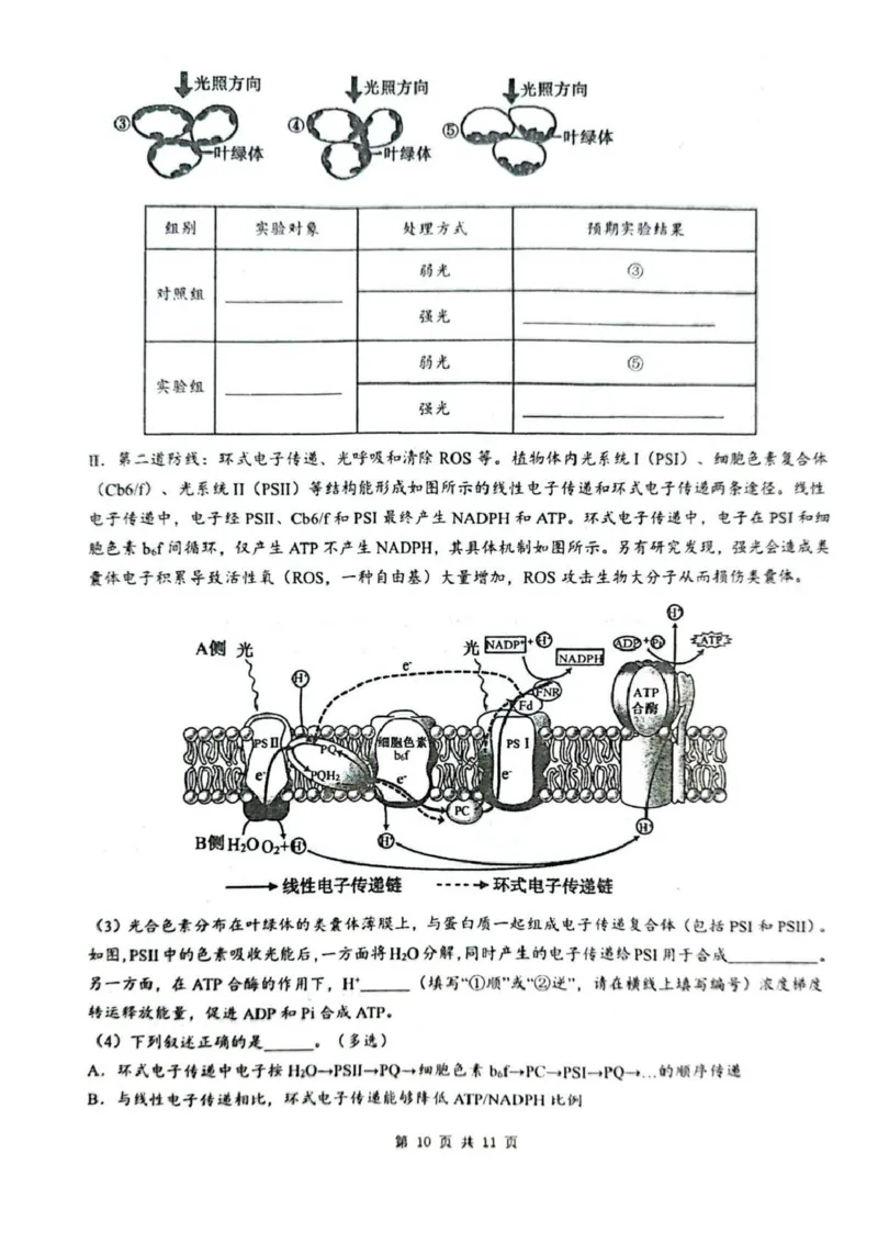 乌鲁木齐市第一中学2025--2026学年第一学期2026届高三年级第二次月考生物_251101新疆乌鲁木齐市第一中学2025--2026学年第一学期2026届高三年级第二次月考