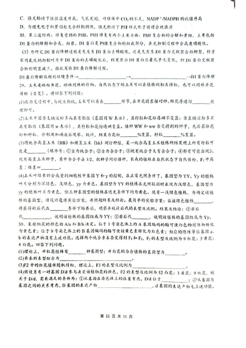 乌鲁木齐市第一中学2025--2026学年第一学期2026届高三年级第二次月考生物_251101新疆乌鲁木齐市第一中学2025--2026学年第一学期2026届高三年级第二次月考