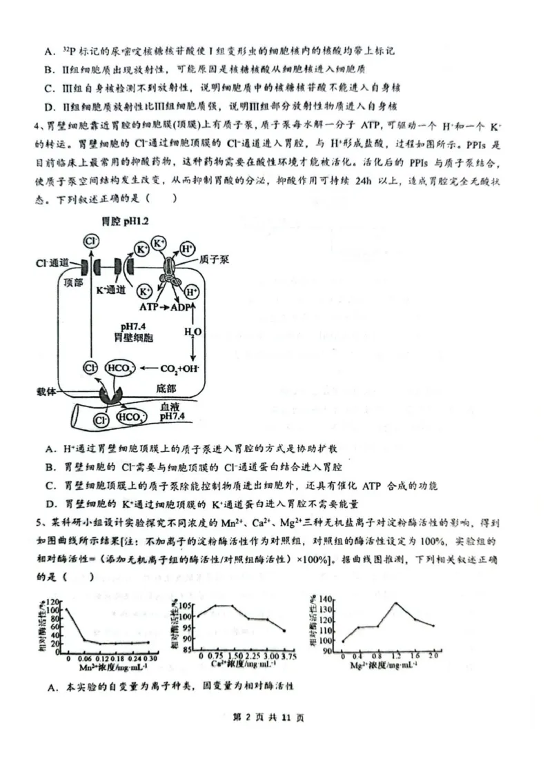 乌鲁木齐市第一中学2025--2026学年第一学期2026届高三年级第二次月考生物_251101新疆乌鲁木齐市第一中学2025--2026学年第一学期2026届高三年级第二次月考