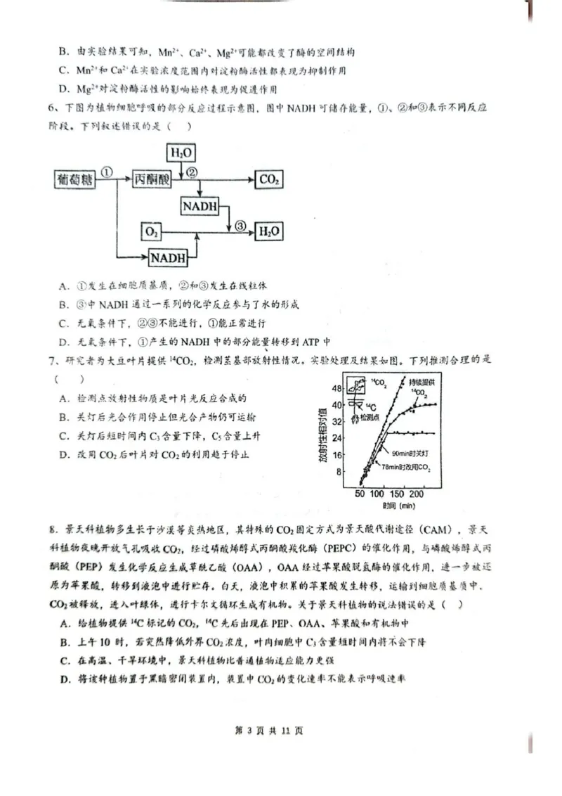 乌鲁木齐市第一中学2025--2026学年第一学期2026届高三年级第二次月考生物_251101新疆乌鲁木齐市第一中学2025--2026学年第一学期2026届高三年级第二次月考