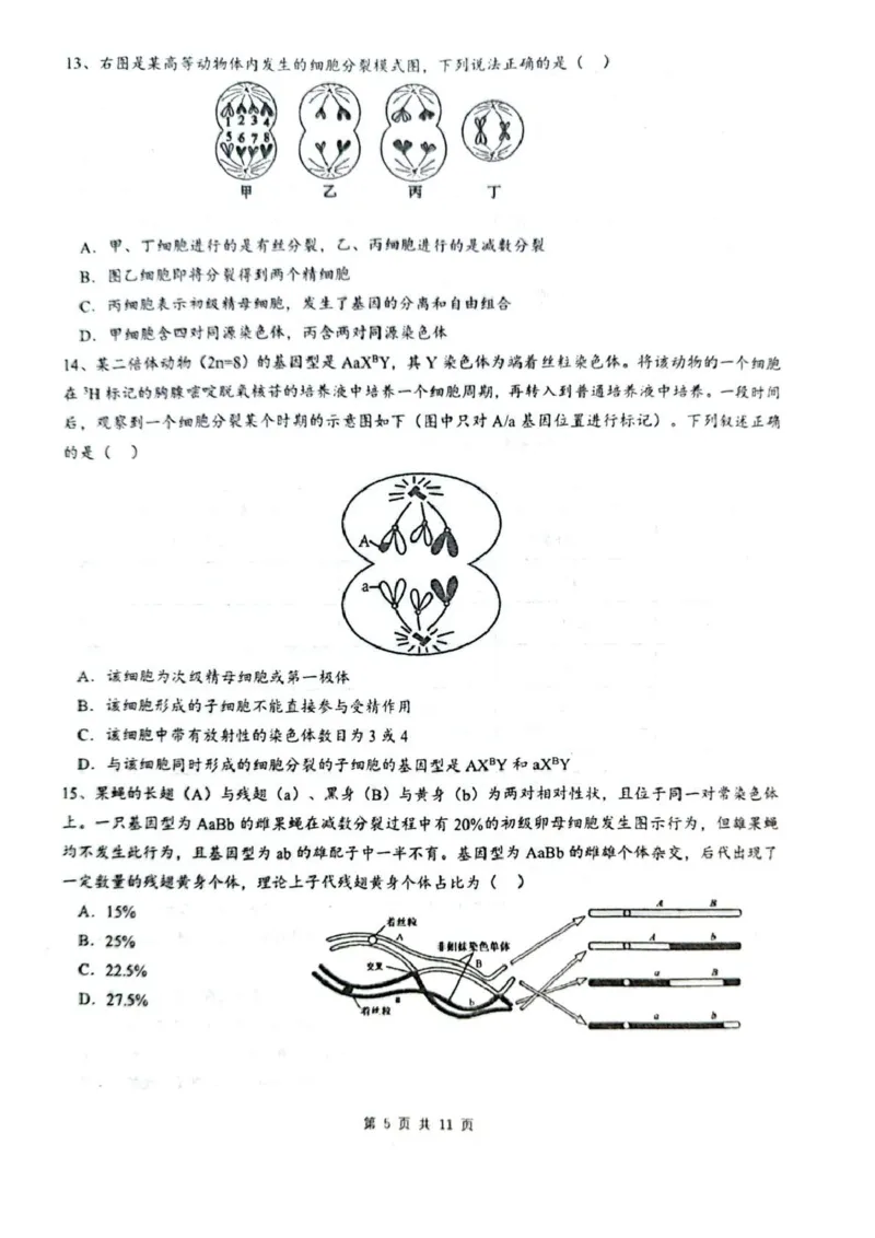 乌鲁木齐市第一中学2025--2026学年第一学期2026届高三年级第二次月考生物_251101新疆乌鲁木齐市第一中学2025--2026学年第一学期2026届高三年级第二次月考
