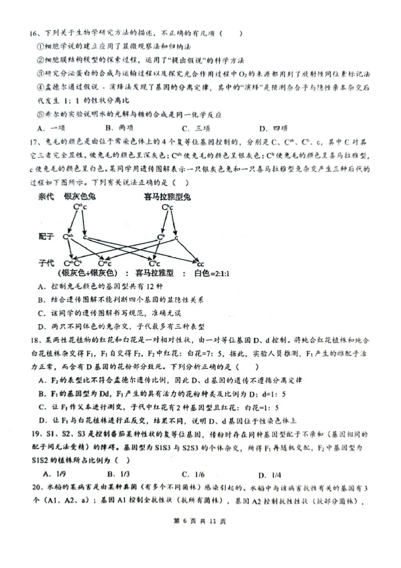 乌鲁木齐市第一中学2025--2026学年第一学期2026届高三年级第二次月考生物_251101新疆乌鲁木齐市第一中学2025--2026学年第一学期2026届高三年级第二次月考