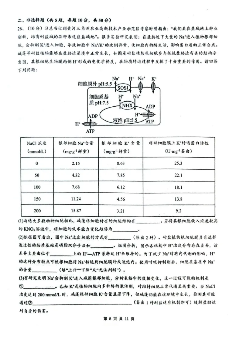 乌鲁木齐市第一中学2025--2026学年第一学期2026届高三年级第二次月考生物_251101新疆乌鲁木齐市第一中学2025--2026学年第一学期2026届高三年级第二次月考