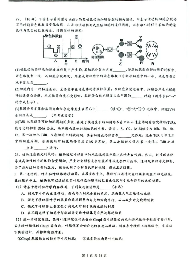 乌鲁木齐市第一中学2025--2026学年第一学期2026届高三年级第二次月考生物_251101新疆乌鲁木齐市第一中学2025--2026学年第一学期2026届高三年级第二次月考