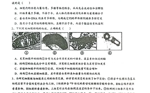 乌鲁木齐市第一中学2025--2026学年第一学期2026届高三年级第二次月考生物_251101新疆乌鲁木齐市第一中学2025--2026学年第一学期2026届高三年级第二次月考