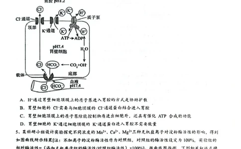 乌鲁木齐市第一中学2025--2026学年第一学期2026届高三年级第二次月考生物_251101新疆乌鲁木齐市第一中学2025--2026学年第一学期2026届高三年级第二次月考