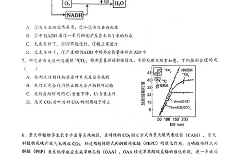 乌鲁木齐市第一中学2025--2026学年第一学期2026届高三年级第二次月考生物_251101新疆乌鲁木齐市第一中学2025--2026学年第一学期2026届高三年级第二次月考