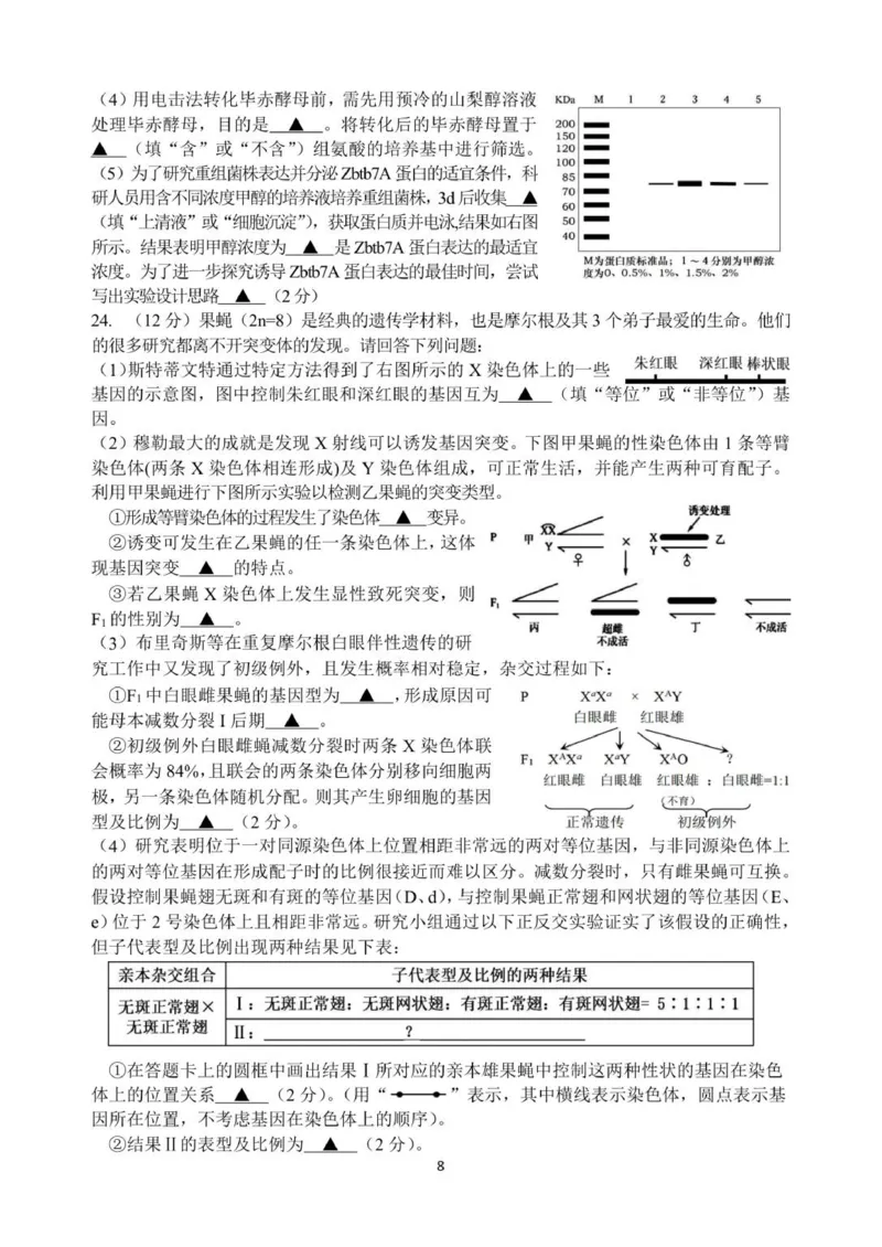南师、海安、天一、海门G4联考_2025年12月_251229江苏省南京师大附中、海安中学、天一中学、海门中学G4联考2025-2026学年高三上学期12月