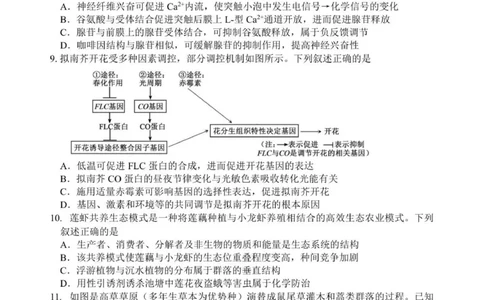南师、海安、天一、海门G4联考_2025年12月_251229江苏省南京师大附中、海安中学、天一中学、海门中学G4联考2025-2026学年高三上学期12月