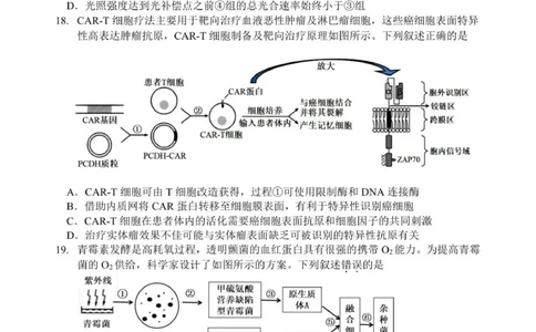 南师、海安、天一、海门G4联考_2025年12月_251229江苏省南京师大附中、海安中学、天一中学、海门中学G4联考2025-2026学年高三上学期12月
