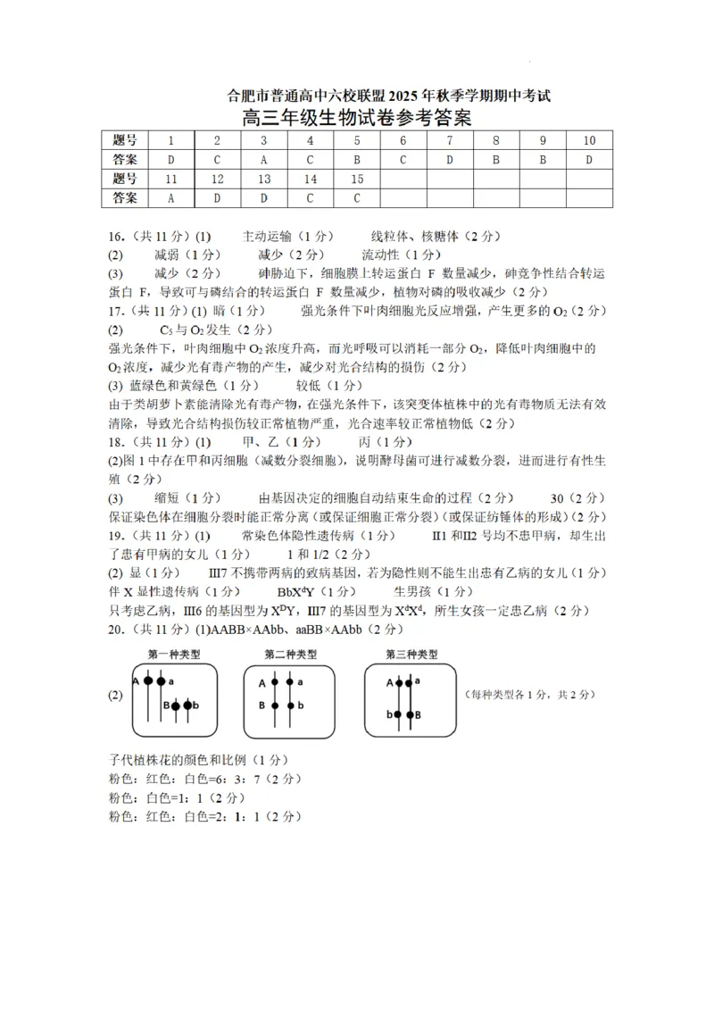 合肥市普通高中六校联盟2025年秋季学期期中考试生物答案_251115安徽省合肥市普通高中六校联盟2025年秋季学期期中考试（全科）