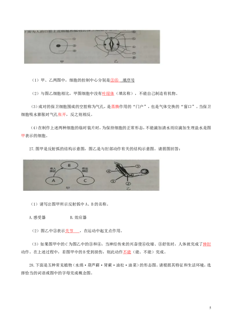 湖南省长沙市2016年中考生物真题试题（含答案）_中考真题_8.生物中考真题2015-2024年_2016年全国中考生物74份