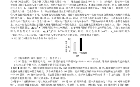 生物答案（26长郡三）_251104湖南省长沙市长郡中学2026届高三上学期月考（三）（全科）_湖南省长沙市长郡中学2026届高三上学期月考（三）生物试题（含答案）
