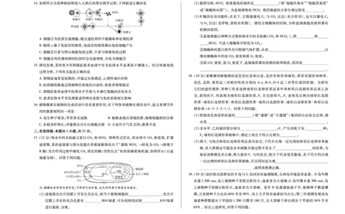 天一大联考&middot;2025-2026学年（上）高三年级天一小高考（二）生物(专版)_251113天一大联考&middot;河南省、陕西省2025-2026学年（上）高三年级天一小高考（二）（全科）