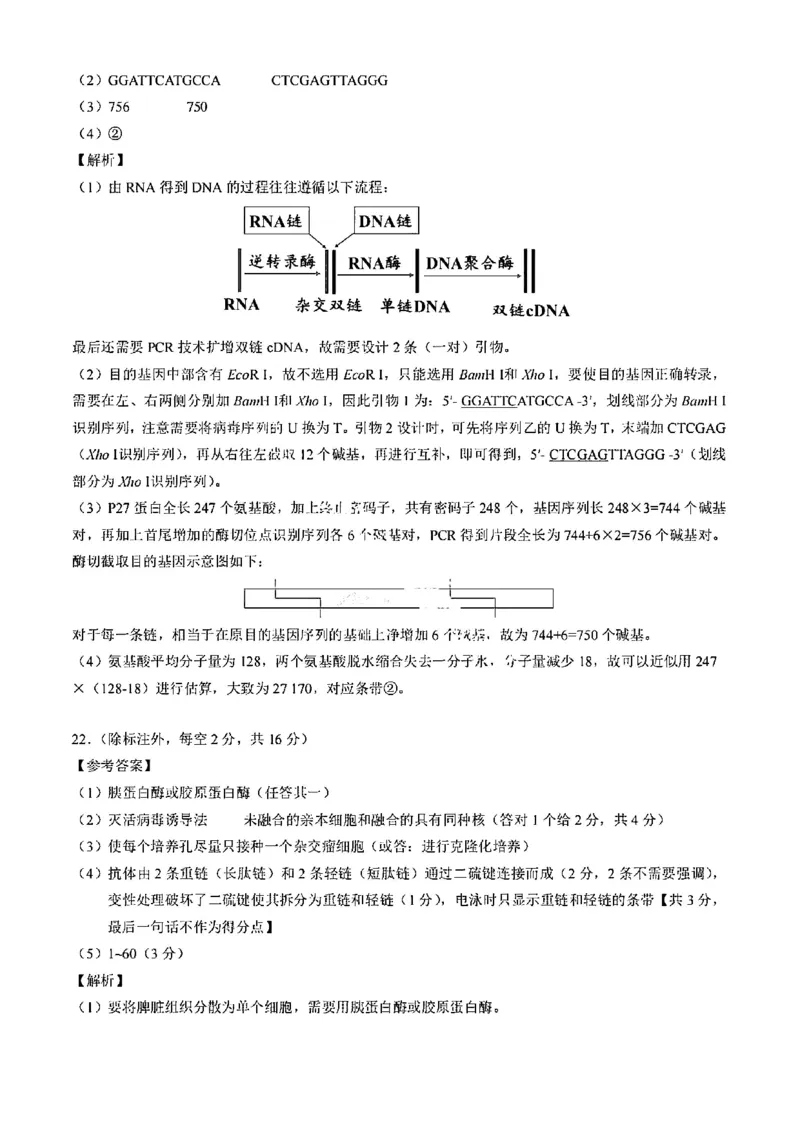 湖北省七市州2024-2025学年高二下学期期末考试生物试卷（含答案）_2025年7月_250703湖北省七市州2024-2025学年度高二下学期期末联考（全科）