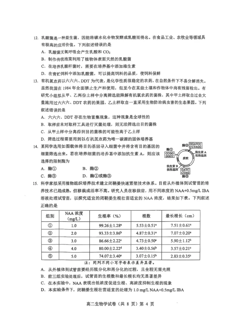 湖北省七市州2024-2025学年高二下学期期末考试生物试卷（含答案）_2025年7月_250703湖北省七市州2024-2025学年度高二下学期期末联考（全科）
