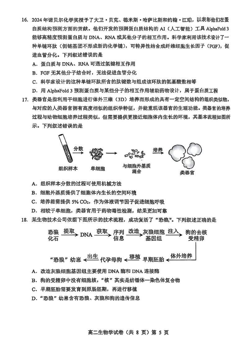 湖北省七市州2024-2025学年高二下学期期末考试生物试卷（含答案）_2025年7月_250703湖北省七市州2024-2025学年度高二下学期期末联考（全科）