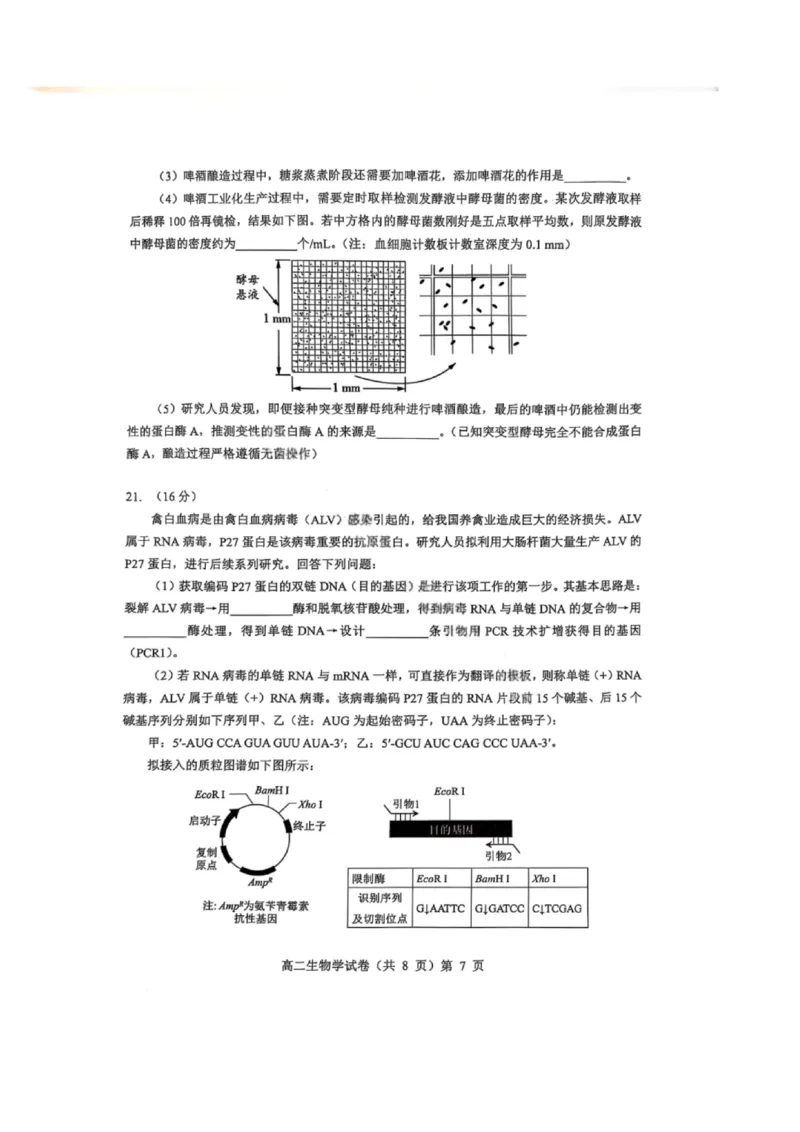 湖北省七市州2024-2025学年高二下学期期末考试生物试卷（含答案）_2025年7月_250703湖北省七市州2024-2025学年度高二下学期期末联考（全科）