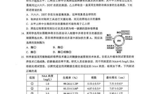 湖北省七市州2024-2025学年高二下学期期末考试生物试卷（含答案）_2025年7月_250703湖北省七市州2024-2025学年度高二下学期期末联考（全科）