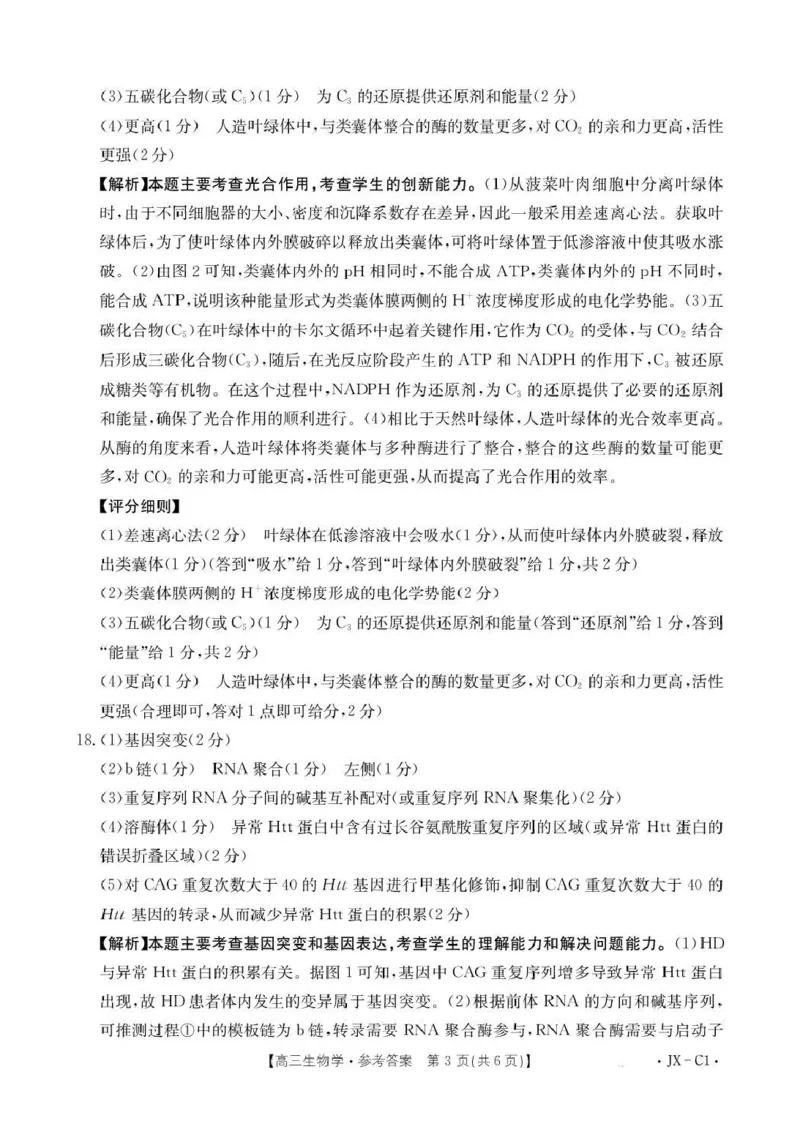 江西省2026届高三上学期11月联考（JX）生物答案_2025年12月_251203江西省金太阳2026届高三上学期11月联考（JX）