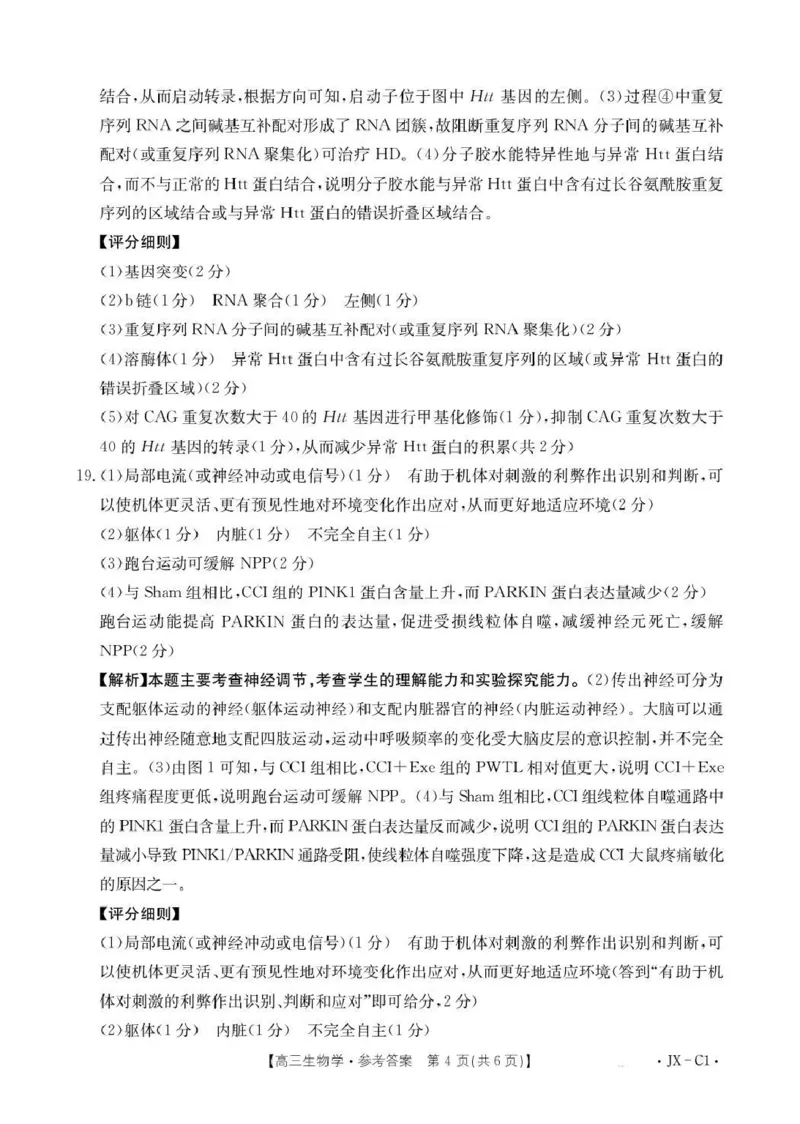 江西省2026届高三上学期11月联考（JX）生物答案_2025年12月_251203江西省金太阳2026届高三上学期11月联考（JX）
