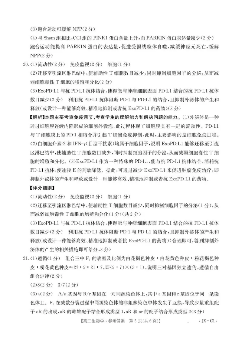 江西省2026届高三上学期11月联考（JX）生物答案_2025年12月_251203江西省金太阳2026届高三上学期11月联考（JX）