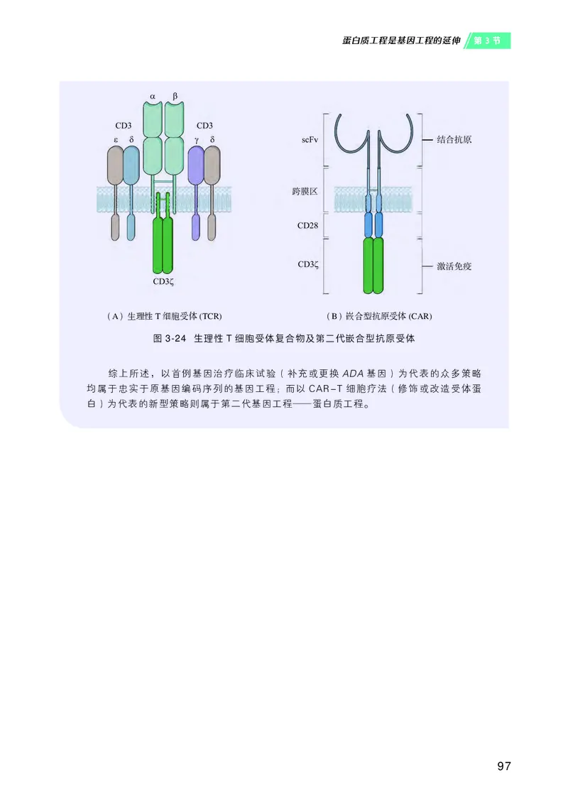 沪科技生物选修3高清教材_4-教培资料-26年最新资料-同步更新_初中高中教资_03科三专项（进去保存报考的学科即可）_02科三专项（笔记真题思维导图教学设计版本二）