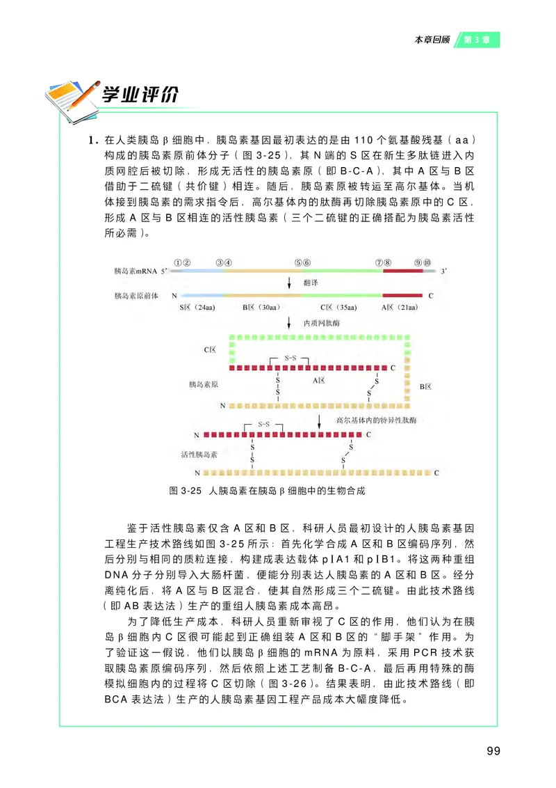 沪科技生物选修3高清教材_4-教培资料-26年最新资料-同步更新_初中高中教资_03科三专项（进去保存报考的学科即可）_02科三专项（笔记真题思维导图教学设计版本二）