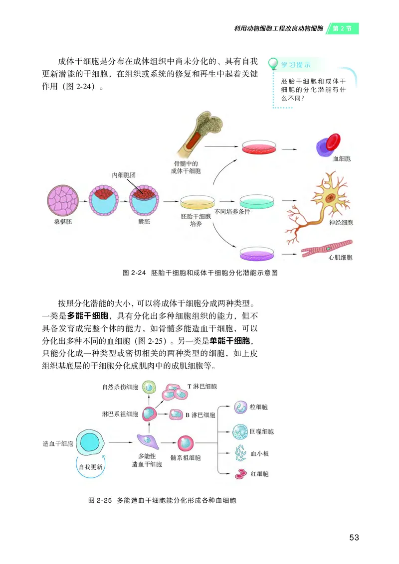 沪科技生物选修3高清教材_4-教培资料-26年最新资料-同步更新_初中高中教资_03科三专项（进去保存报考的学科即可）_02科三专项（笔记真题思维导图教学设计版本二）