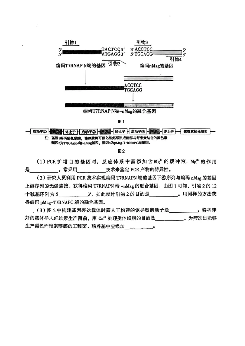 2026届湖南省郴州市高三上学期第一次教学质量监测生物试题（含答案）_251104湖南省郴州市2026届高三上学期一模（全科）