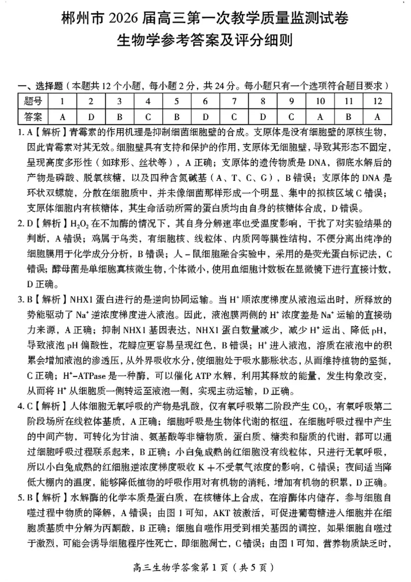 2026届湖南省郴州市高三上学期第一次教学质量监测生物试题（含答案）_251104湖南省郴州市2026届高三上学期一模（全科）