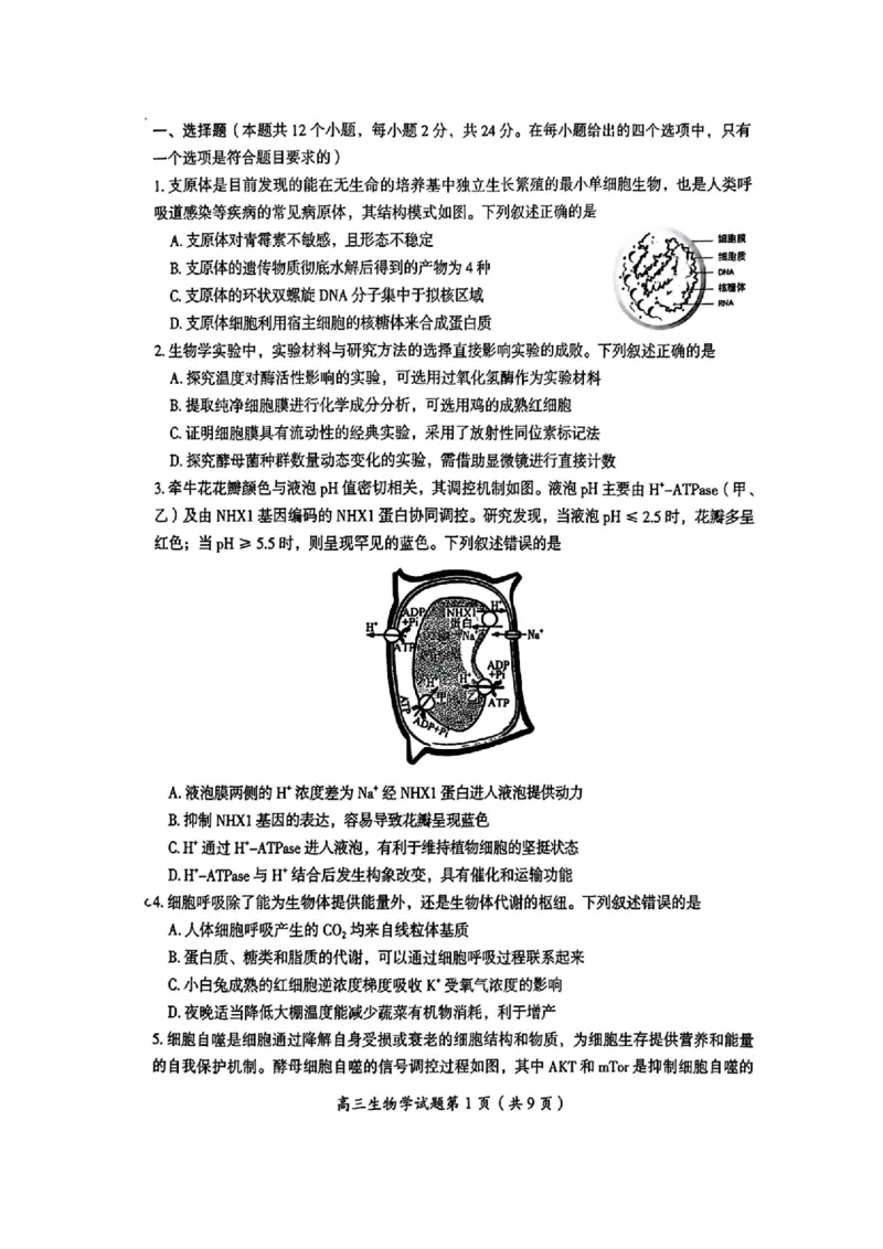 2026届湖南省郴州市高三上学期第一次教学质量监测生物试题（含答案）_251104湖南省郴州市2026届高三上学期一模（全科）