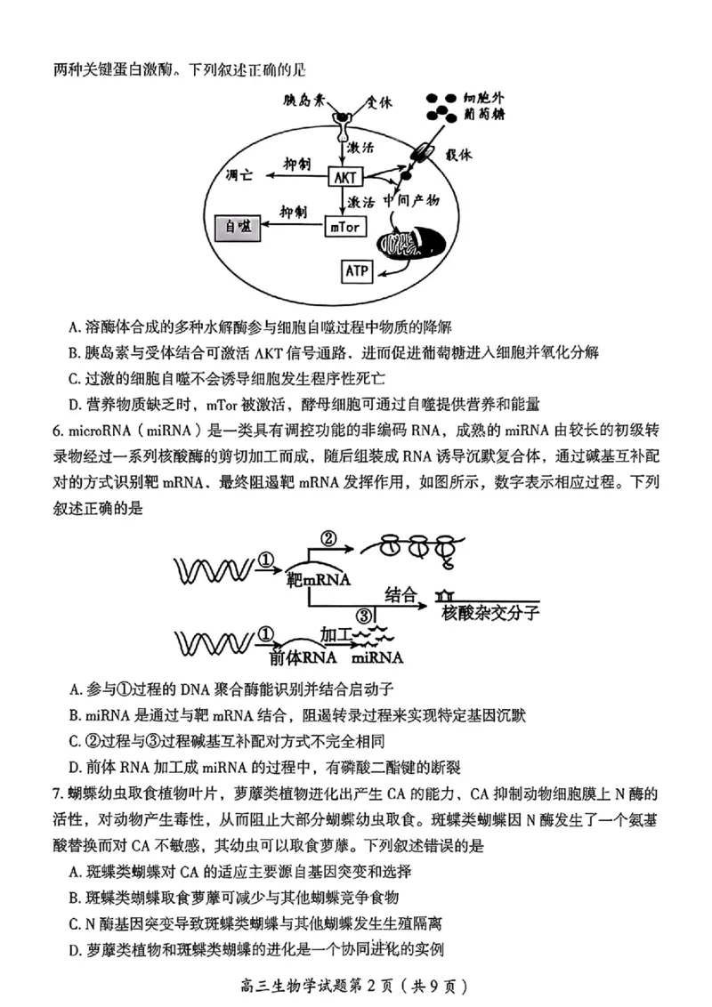 2026届湖南省郴州市高三上学期第一次教学质量监测生物试题（含答案）_251104湖南省郴州市2026届高三上学期一模（全科）