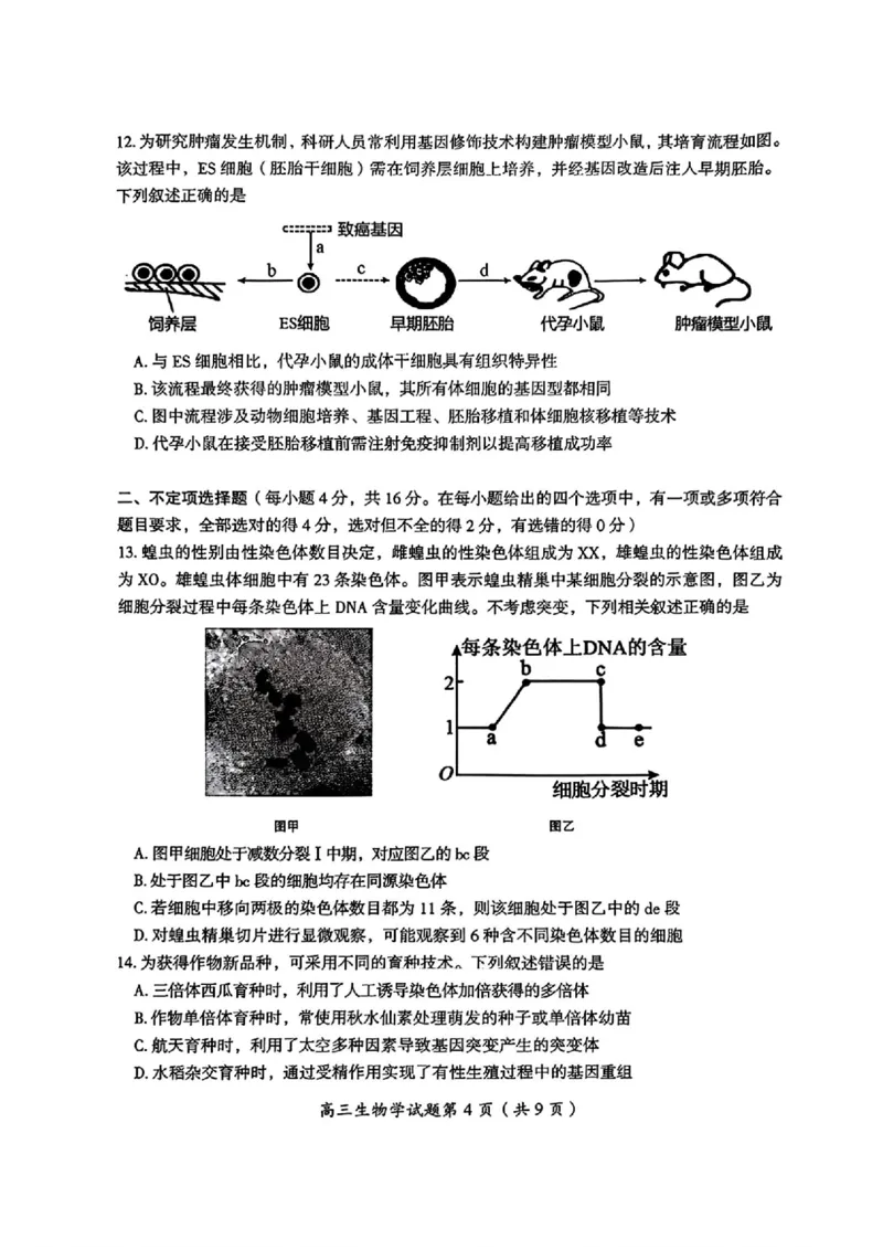 2026届湖南省郴州市高三上学期第一次教学质量监测生物试题（含答案）_251104湖南省郴州市2026届高三上学期一模（全科）