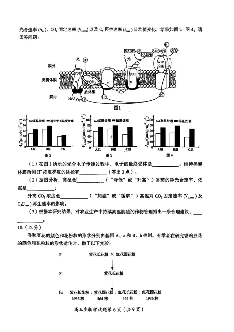 2026届湖南省郴州市高三上学期第一次教学质量监测生物试题（含答案）_251104湖南省郴州市2026届高三上学期一模（全科）