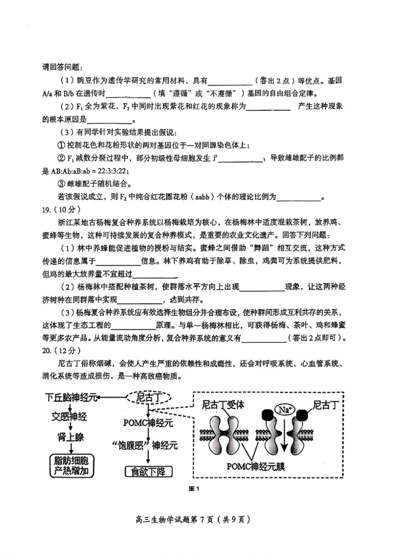 2026届湖南省郴州市高三上学期第一次教学质量监测生物试题（含答案）_251104湖南省郴州市2026届高三上学期一模（全科）