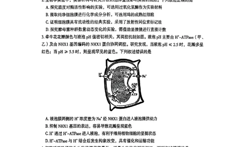 2026届湖南省郴州市高三上学期第一次教学质量监测生物试题（含答案）_251104湖南省郴州市2026届高三上学期一模（全科）