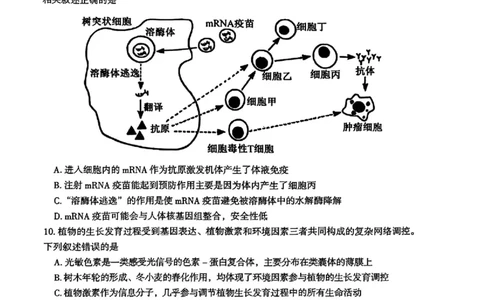 2026届湖南省郴州市高三上学期第一次教学质量监测生物试题（含答案）_251104湖南省郴州市2026届高三上学期一模（全科）