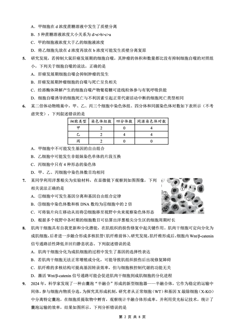 26一中10月生物试卷_251104重庆市第一中学校2025-2026学年高三上学期10月月考（全科）
