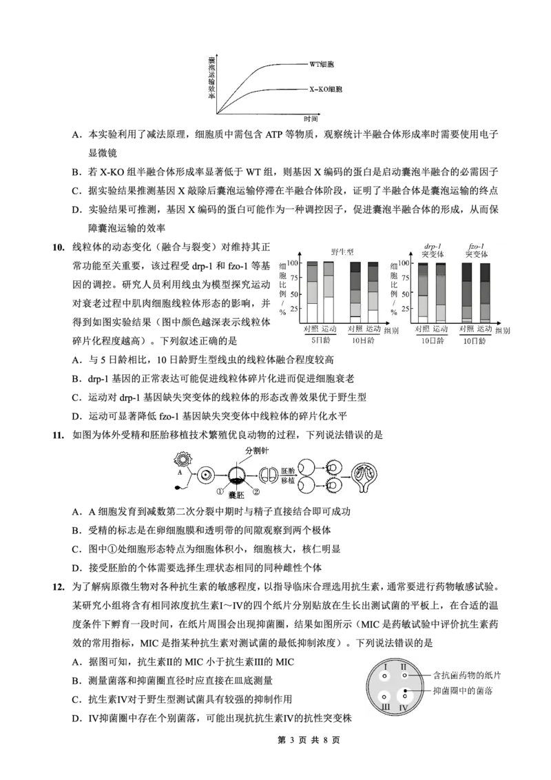 26一中10月生物试卷_251104重庆市第一中学校2025-2026学年高三上学期10月月考（全科）