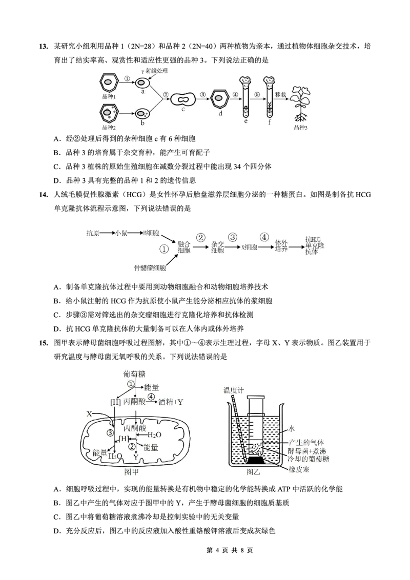 26一中10月生物试卷_251104重庆市第一中学校2025-2026学年高三上学期10月月考（全科）