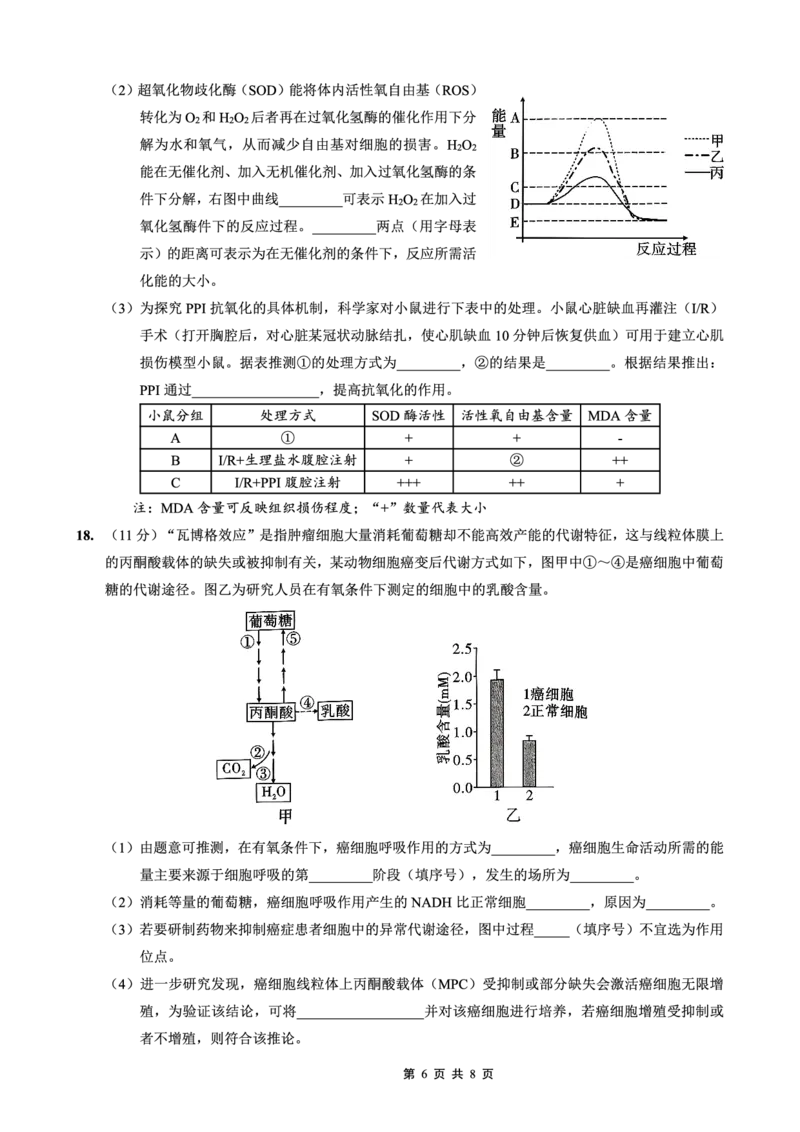 26一中10月生物试卷_251104重庆市第一中学校2025-2026学年高三上学期10月月考（全科）