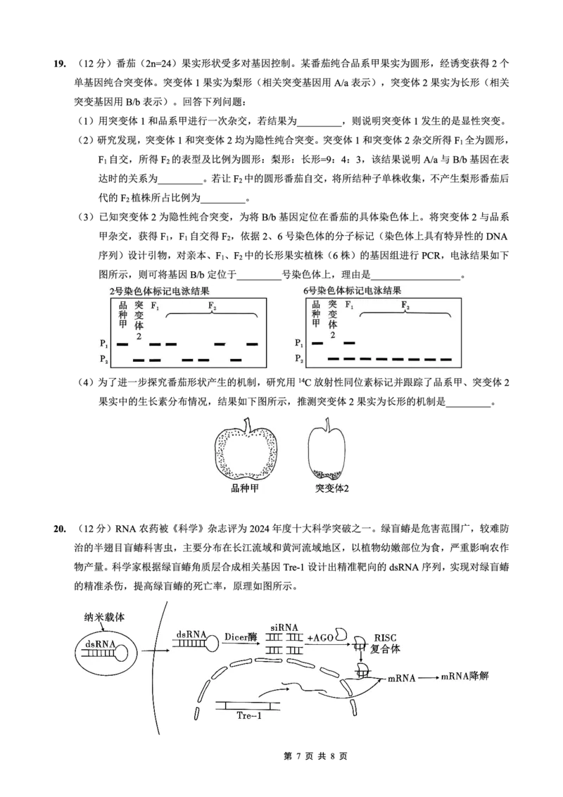 26一中10月生物试卷_251104重庆市第一中学校2025-2026学年高三上学期10月月考（全科）