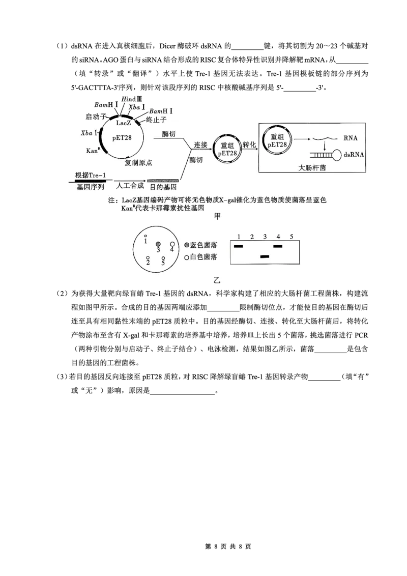 26一中10月生物试卷_251104重庆市第一中学校2025-2026学年高三上学期10月月考（全科）