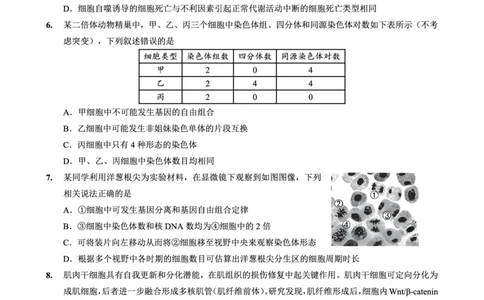 26一中10月生物试卷_251104重庆市第一中学校2025-2026学年高三上学期10月月考（全科）