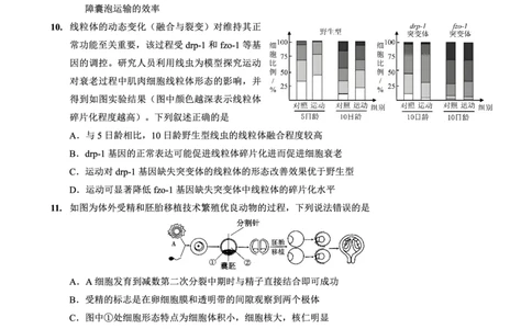 26一中10月生物试卷_251104重庆市第一中学校2025-2026学年高三上学期10月月考（全科）