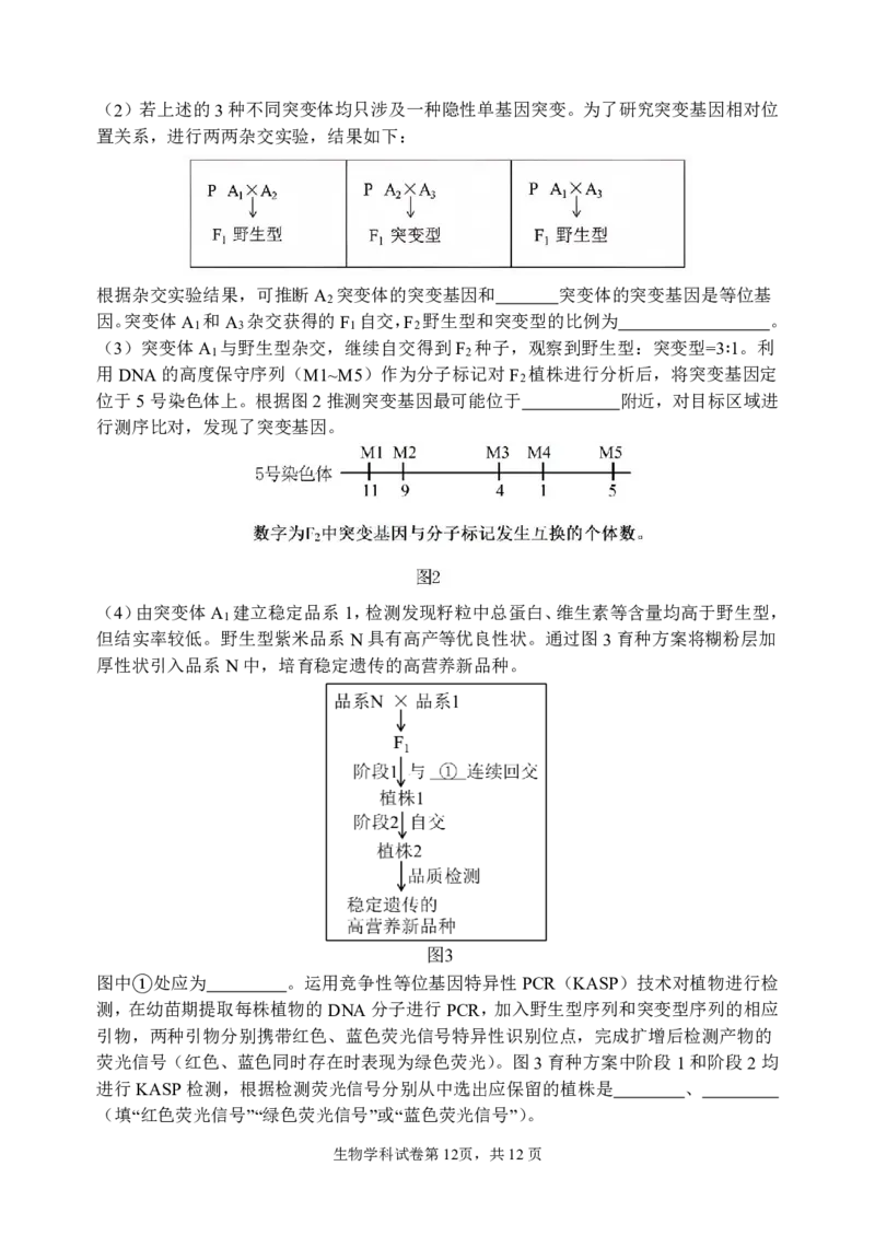 三模试卷_2025年12月_251204辽宁省沈阳市东北育才学校2026届高三上学期第三次模拟考试_生物