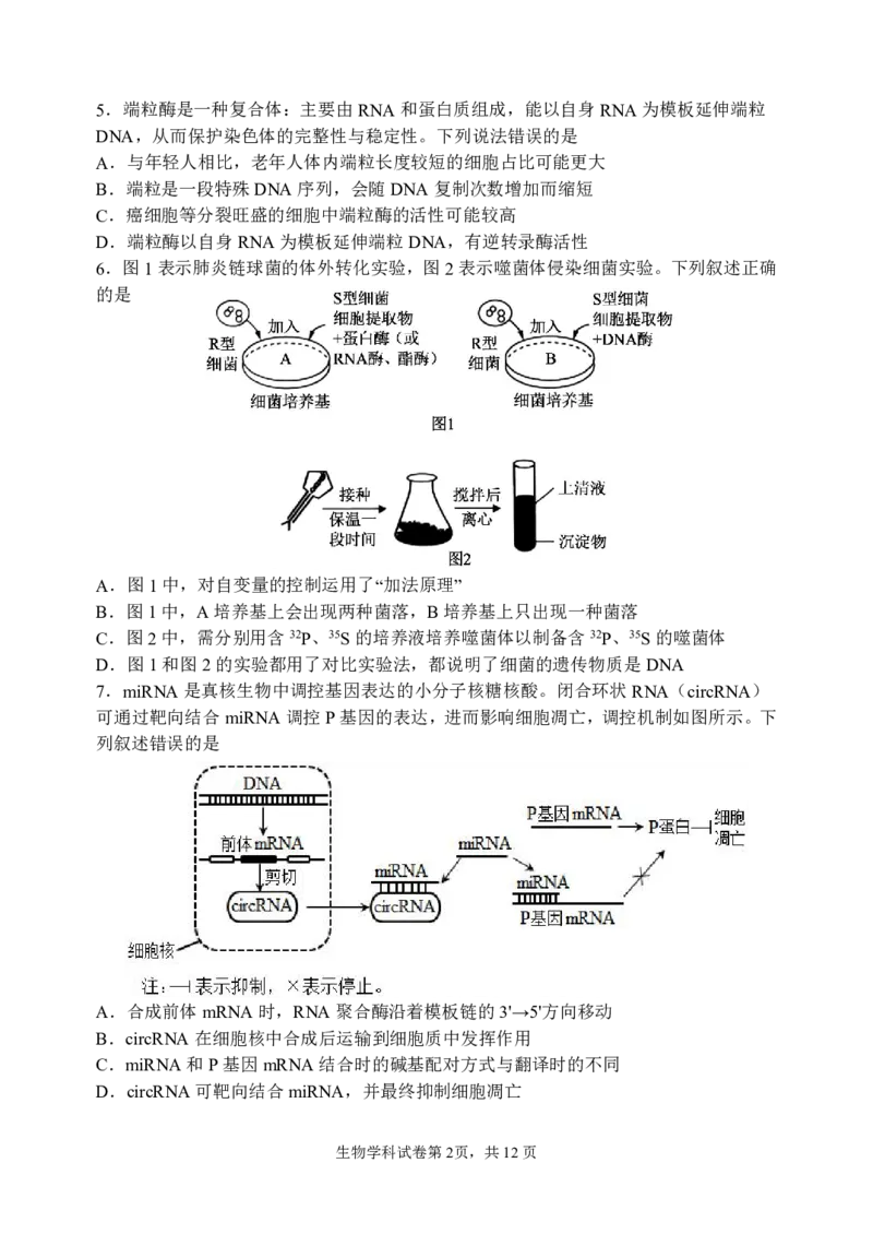 三模试卷_2025年12月_251204辽宁省沈阳市东北育才学校2026届高三上学期第三次模拟考试_生物