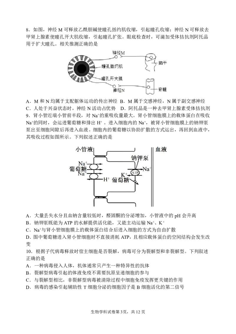 三模试卷_2025年12月_251204辽宁省沈阳市东北育才学校2026届高三上学期第三次模拟考试_生物