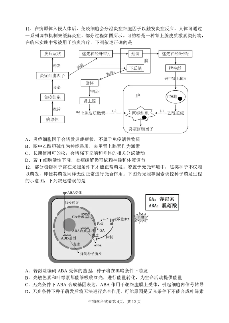 三模试卷_2025年12月_251204辽宁省沈阳市东北育才学校2026届高三上学期第三次模拟考试_生物